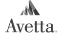 Avetta rotaflow